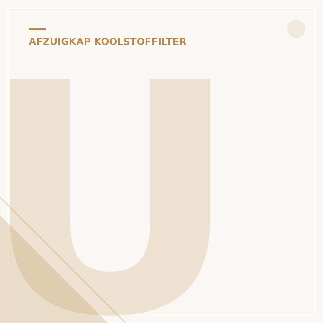 Universele Koolstoffilter Afzuigkap: 5 Lokale Tips voor Elke Ruimte